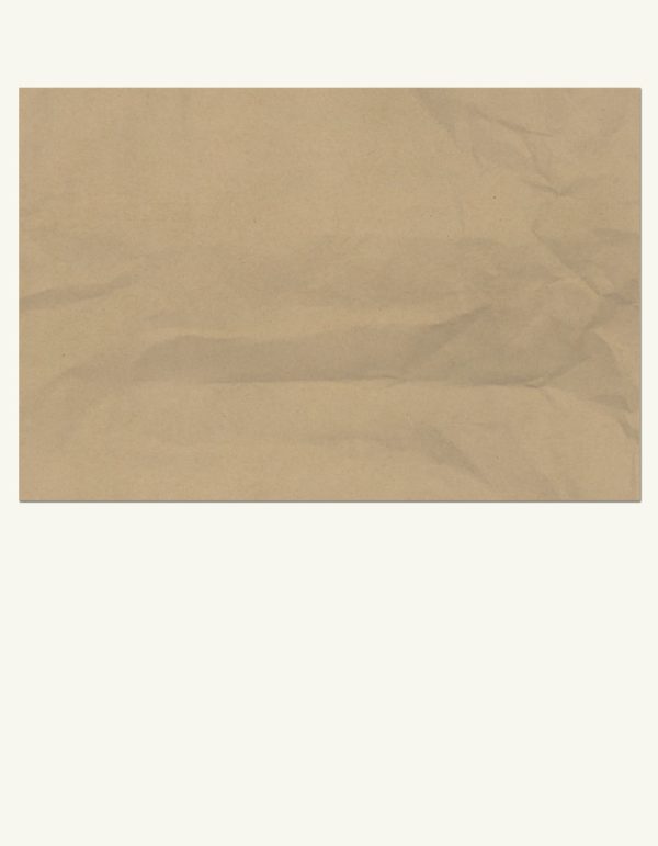 custom-printed-greaseproof-paper-12-x-6-Kraft-pic
